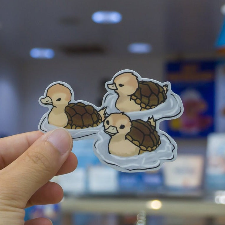 Turtle Ducks Sticker